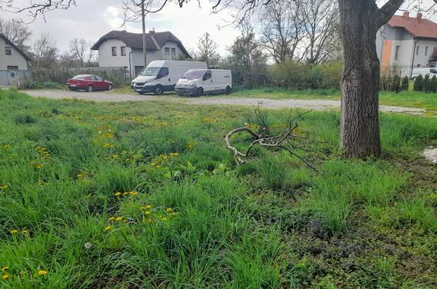 Gewerbeobjekt kaufen in 4614 Marchtrenk (Bild 4)