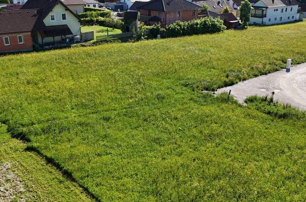 Grundstück kaufen in 4542 Nußbach (Bild 1)