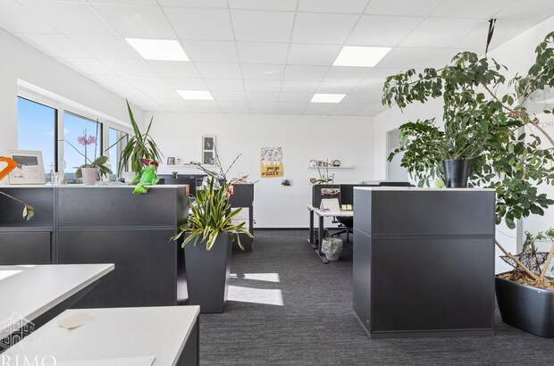 Gewerbeobjekt mieten in 4060 Leonding (Bild 4)