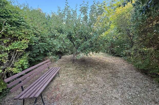 Grundstück kaufen in 3430 Tulln (Bild 3)