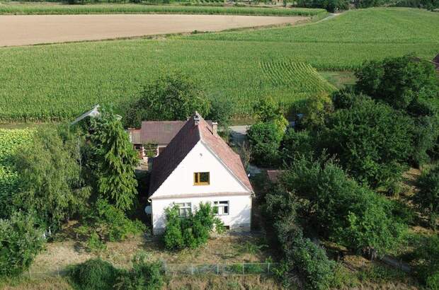Haus mit Garten kaufen in 3508 Eggendorf (Bild 1)