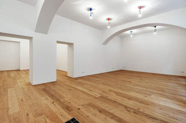Gewerbeobjekt kaufen in 1070 Wien (Bild 2)