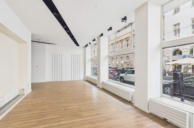 Gewerbeobjekt mieten in 1010 Wien (Bild 4)