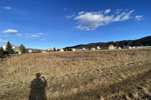 Grundstück kaufen in 8720 Apfelberg (Bild 5)
