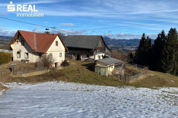Haus kaufen in 8162 Plenzengreith (Bild 2)