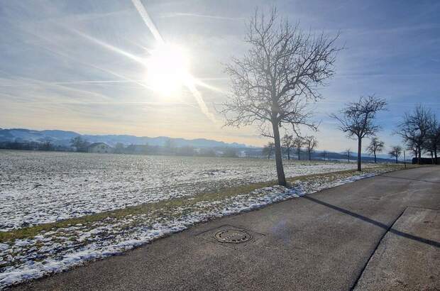 Haus mit Garten kaufen in 4400 Steyr (Bild 3)