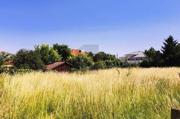 Grundstück kaufen in 7082 Donnerskirchen (Bild 3)