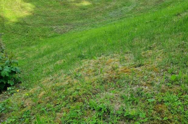 Grundstück kaufen in 4111 Walding (Bild 5)