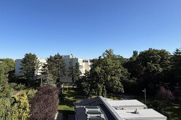 Mietwohnung in 1130 Wien (Bild 1)