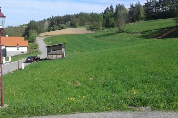 Grundstück mieten in 7441 Pilgersdorf (Bild 2)