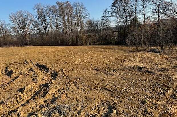 Grundstück kaufen in 8264 Hainersdorf (Bild 1)