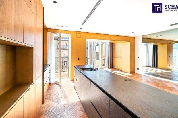 Terrassenwohnung kaufen in 1010 Wien (Bild 2)