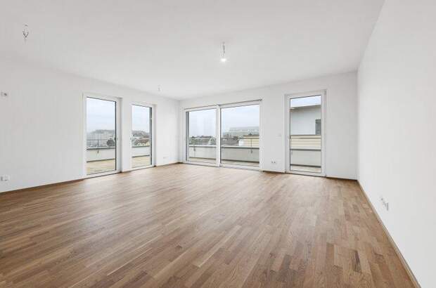 Terrassenwohnung kaufen in 2700 Wr. Neustadt (Bild 3)