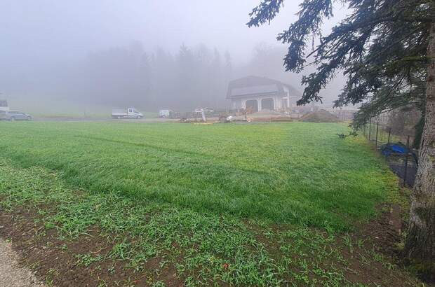 Grundstück kaufen in 4441 Behamberg (Bild 1)