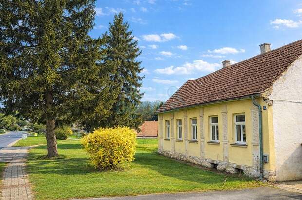 Grundstück kaufen in 2126 Ladendorf (Bild 1)