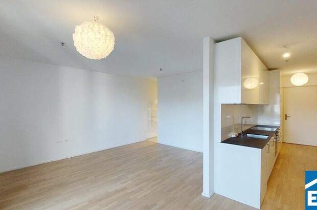 Terrassenwohnung mieten in 1100 Wien (Bild 3)