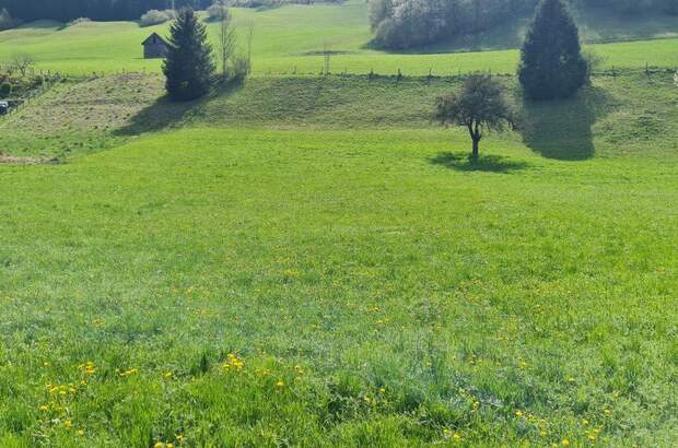 Grundstück kaufen in 4463 Großraming (Bild 3)