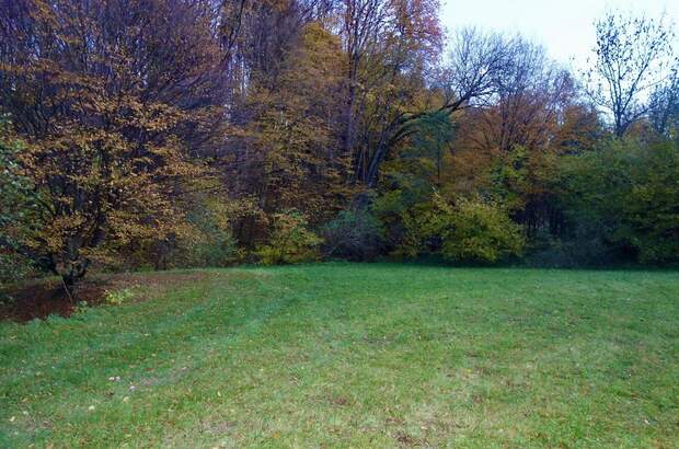 Grundstück kaufen in 3413 Hintersdorf (Bild 2)