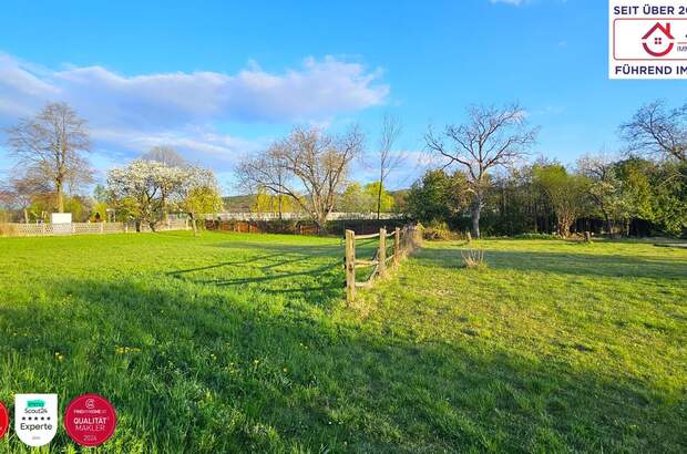 Grundstück kaufen in 2620 Neunkirchen (Bild 4)