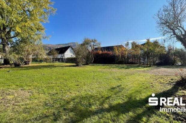 Haus kaufen in 4560 Kirchdorf (Bild 3)