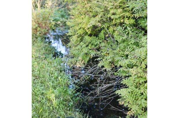 Grundstück kaufen in 5421 Adnet (Bild 2)