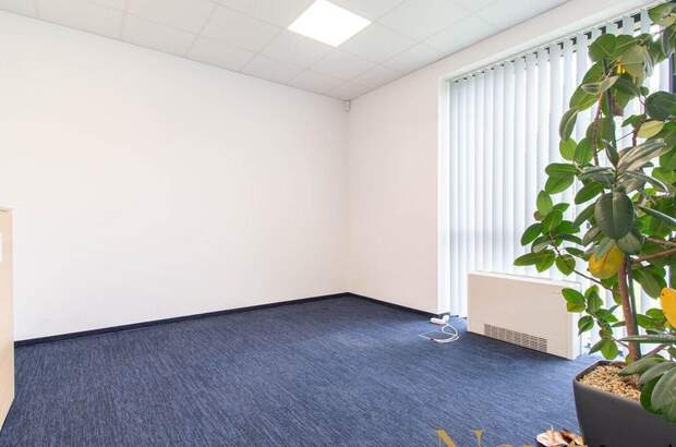 Gewerbeobjekt mieten in 4060 Leonding (Bild 5)