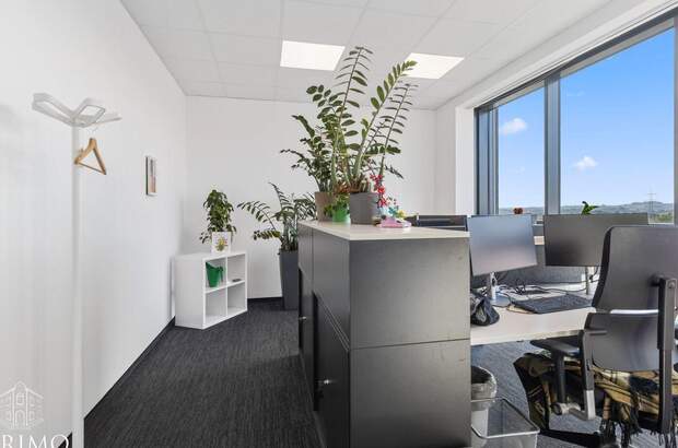 Gewerbeobjekt mieten in 4060 Leonding (Bild 1)