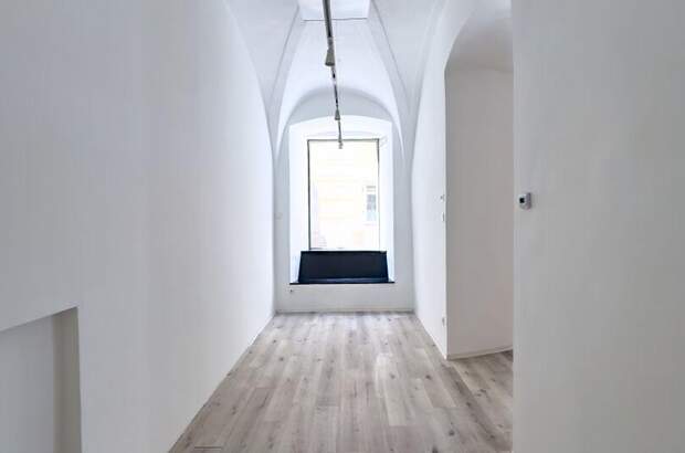 Gewerbeobjekt mieten in 1010 Wien (Bild 3)