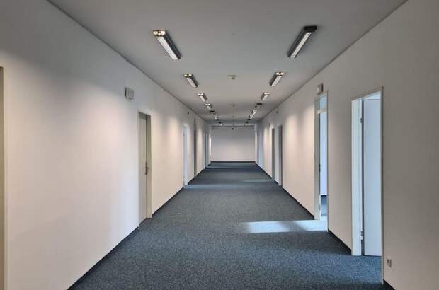 Gewerbeobjekt mieten in 1110 Wien (Bild 3)