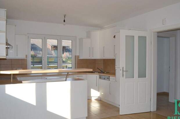 Gewerbeobjekt mieten in 1130 Wien (Bild 2)