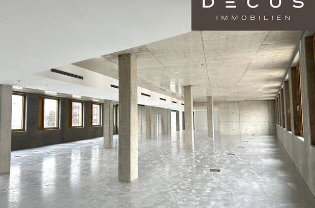 Büro / Praxis mieten in 1230 Wien (Bild 4)