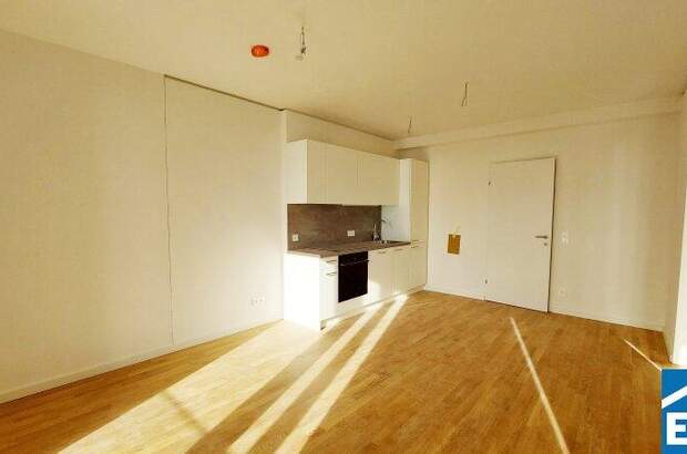 Terrassenwohnung mieten in 1220 Wien (Bild 2)