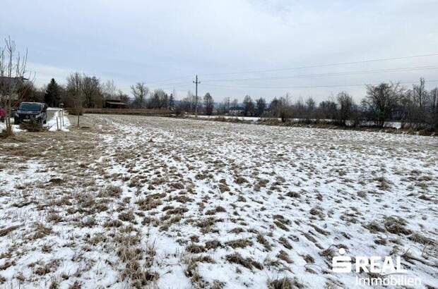 Grundstück kaufen in 4070 Pupping (Bild 1)