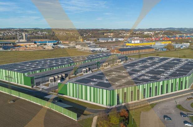 Gewerbeobjekt mieten in 4470 Enns (Bild 1)