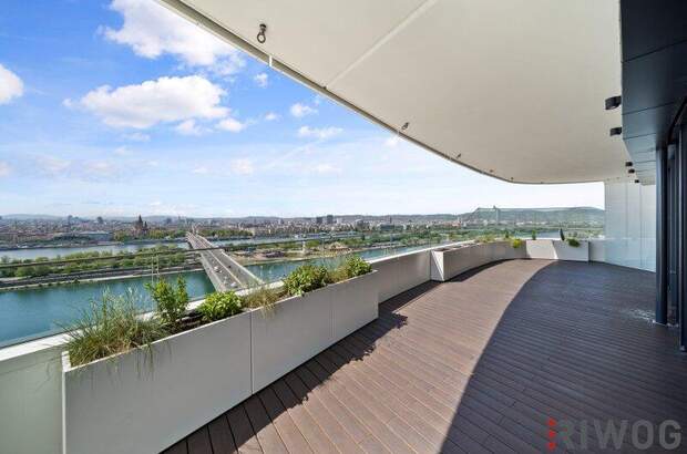 Terrassenwohnung kaufen in 1220 Wien (Bild 3)