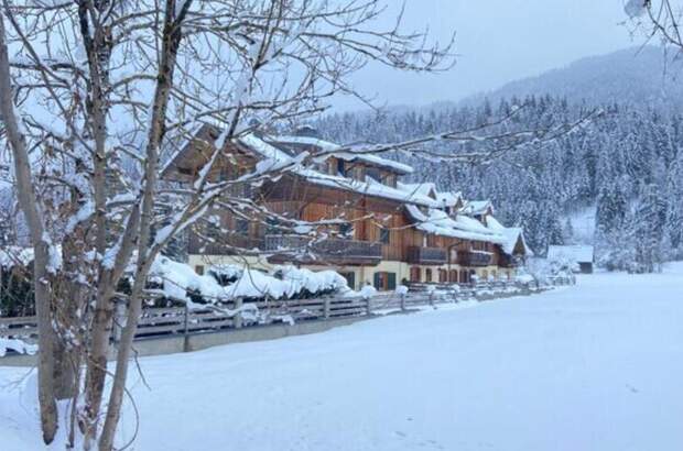 Wohnung mit Balkon kaufen in 33018 Tarvis (Bild 1)