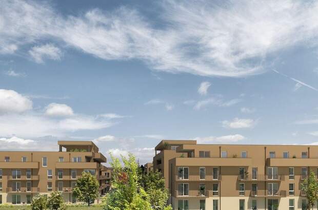 Immobilie mieten in 8401 Kalsdorf (Bild 1)