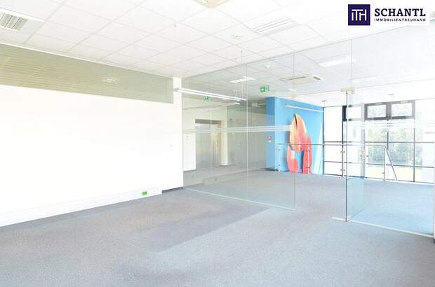 Büro / Praxis mieten in 8301 Laßnitzhöhe (Bild 2)