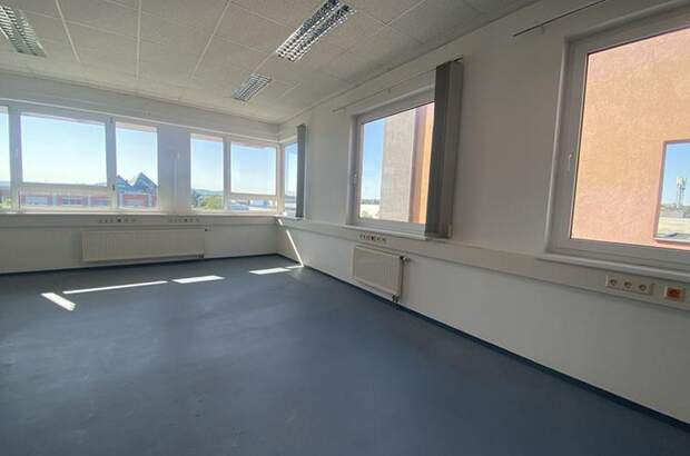 Gewerbeobjekt mieten in 1230 Wien (Bild 4)