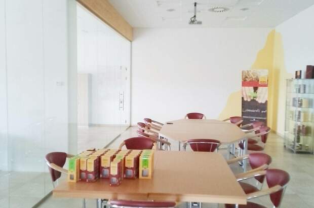 Gewerbeobjekt mieten in 4655 Vorchdorf (Bild 3)