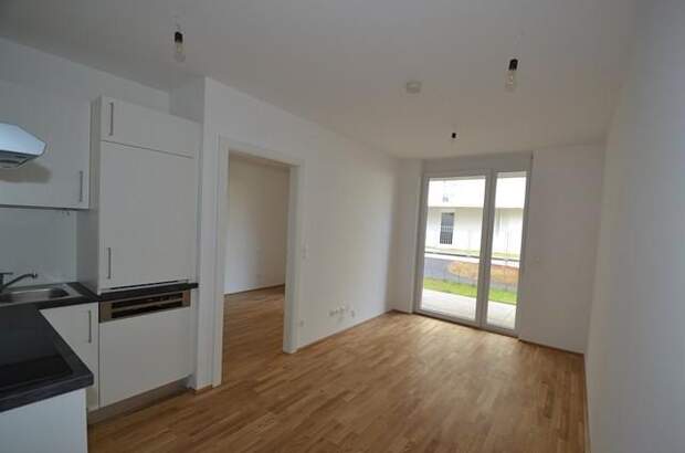 Terrassenwohnung mieten in 8020 Graz (Bild 1)