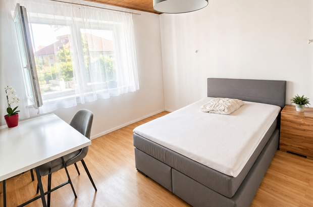 Altbauwohnung mieten in 2601 Eggendorf (Bild 3)