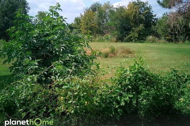 Grundstück kaufen in 2410 Hainburg (Bild 4)