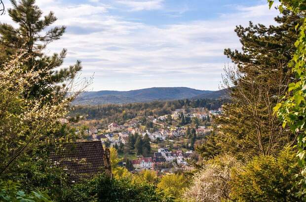Haus kaufen in 1140 Wien (Bild 3)