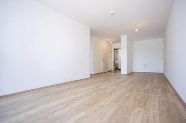 Terrassenwohnung kaufen in 2700 Wr. Neustadt (Bild 3)