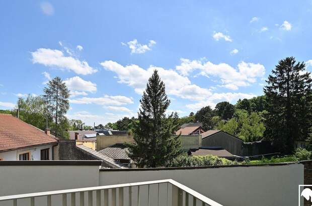 Wohnung mit Balkon kaufen in 1190 Wien (Bild 4)