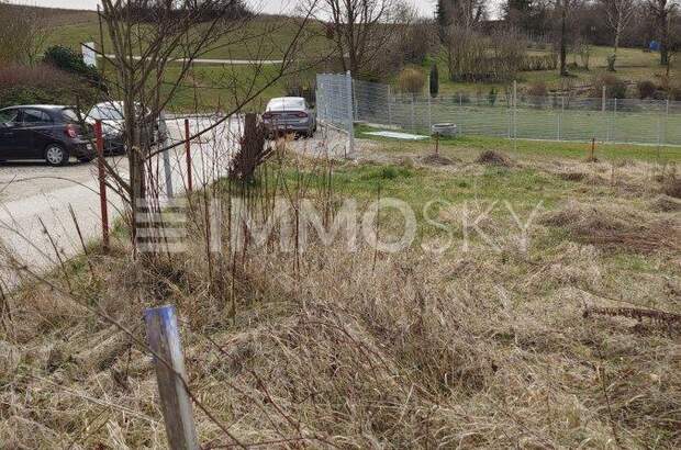 Grundstück kaufen in 4311 Schwertberg (Bild 4)