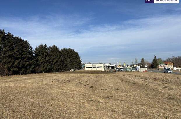 Grundstück kaufen in 8410 Weitendorf (Bild 5)