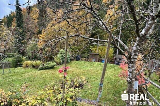 Haus kaufen in 4202 Kirchschlag (Bild 5)