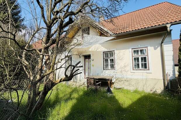 Haus kaufen in 8733 Sankt Marein (Bild 1)